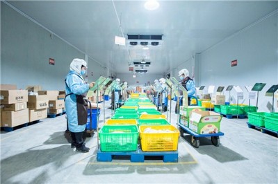 淳百味 传承与创新并举，迈入沙县小吃食品经营新征程